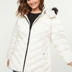 Lane Bryant Puffer coat